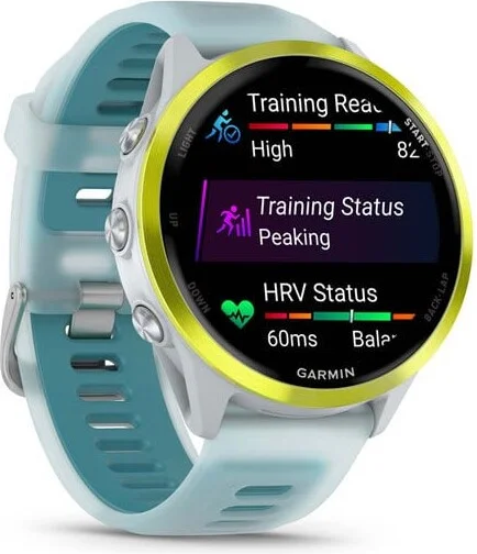 Изображение товара Умные часы Garmin Forerunner 570 47мм (серебристый/желтый)