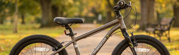 Изображение товара Детский велосипед Maxiscoo 3bike 20 M 2026 / MSC-M3-2022 (коричневый матовый, разобранный, в коробке)