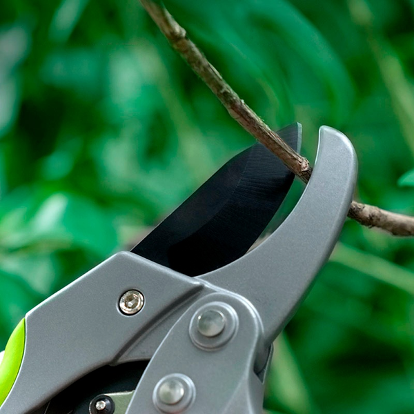 Изображение товара Секатор механический Deli EDL580229