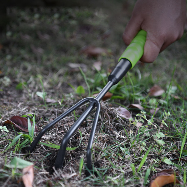 Изображение товара Мотыга ручная Deli EDL580815 (черный/зеленый)