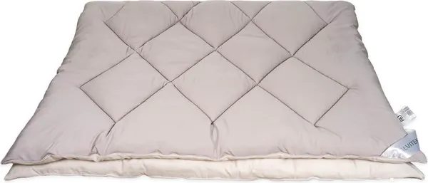 Изображение товара Одеяло AlViTek Fluffy Dream 200x220 / ОЖЛ-22-Дымчатое Облако