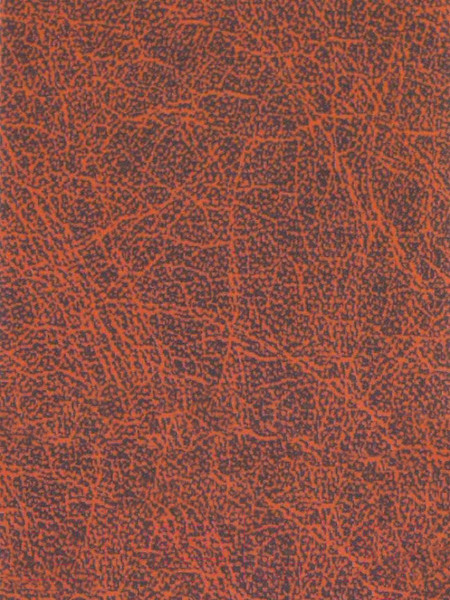 Изображение товара Пленка самоклеящаяся универсальная Color Dekor 8119 (0.45x8м)