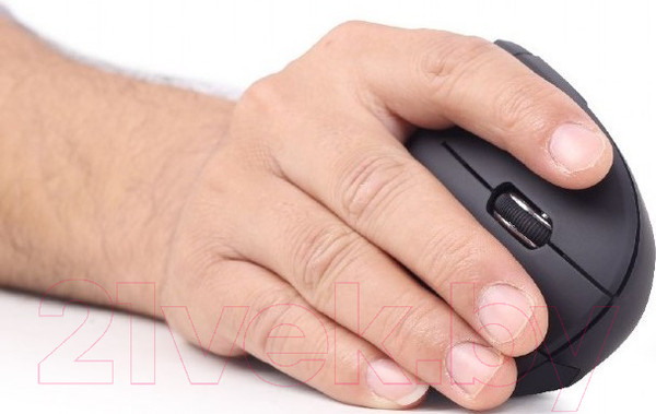 Изображение товара Мышь Gembird MUSW-ERGO-01 (черный)
