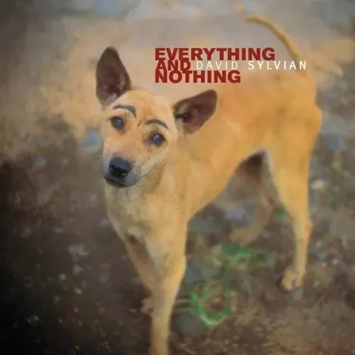 Изображение товара Виниловая пластинка Universal Music David Sylvian - Everything & Nothing