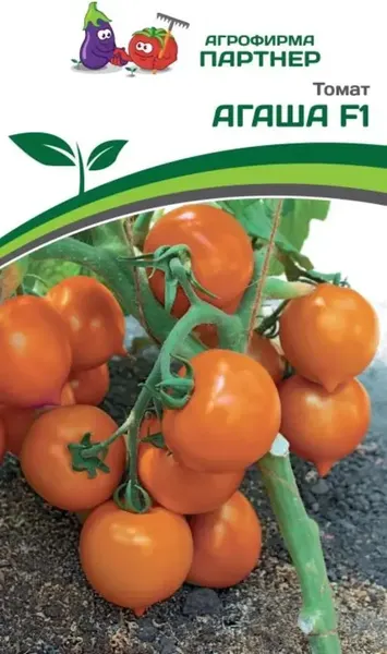 Изображение товара Семена Агрофирма Партнер Томат Агаша (0.05г)