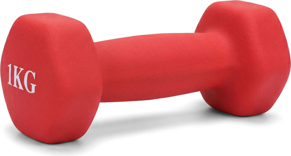 Изображение товара Гантель VictoryFit VF-DHN010-R (красный)