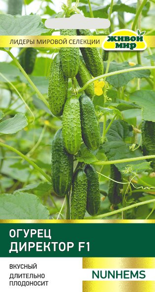 Изображение товара Семена Живой мир Огурец Директор F1 (5шт)