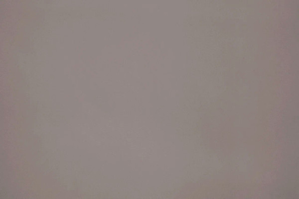 Изображение товара Односпальная кровать Mio Tesoro Юта 90x200 (велутто латте)