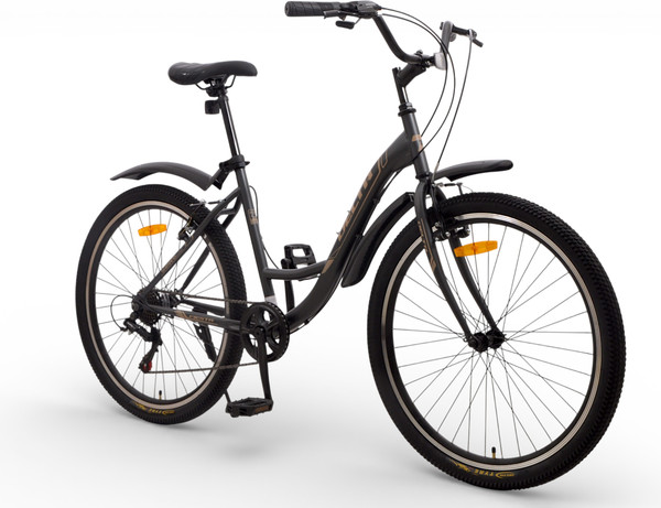 Изображение товара Велосипед DeltA Fiesta / FIESTA26.17.GR (26, серый, разобранный, в коробке)