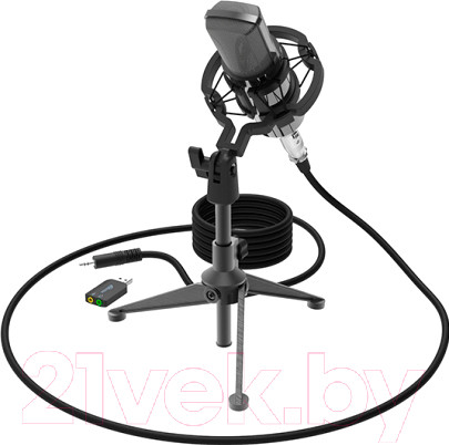 Изображение товара Микрофон Ritmix RDM-160 (черный)