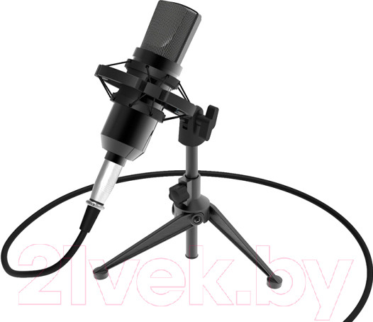 Изображение товара Микрофон Ritmix RDM-160 (черный)
