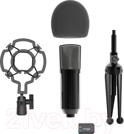Изображение товара Микрофон Ritmix RDM-160 (черный)