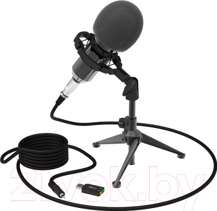 Изображение товара Микрофон Ritmix RDM-160 (черный)