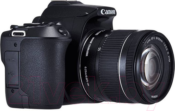 Изображение товара Зеркальный фотоаппарат Canon EOS 250D Kit EF-S 18-55mm IS STM / 3454C002 (черный)