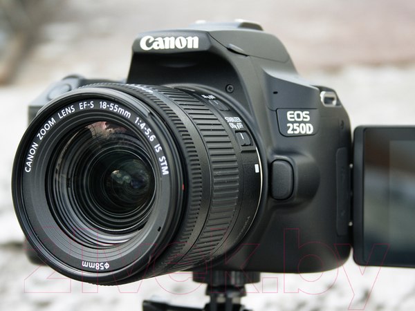 Изображение товара Зеркальный фотоаппарат Canon EOS 250D Kit EF-S 18-55mm IS STM / 3454C002 (черный)
