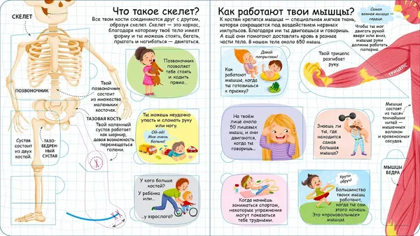 Изображение товара Развивающая книга Робинс Волшебные окошки. Секреты человека (9785436610214)
