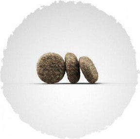 Изображение товара Сухой корм для собак Josera Mini Junior with Duck&Salmon (900г)