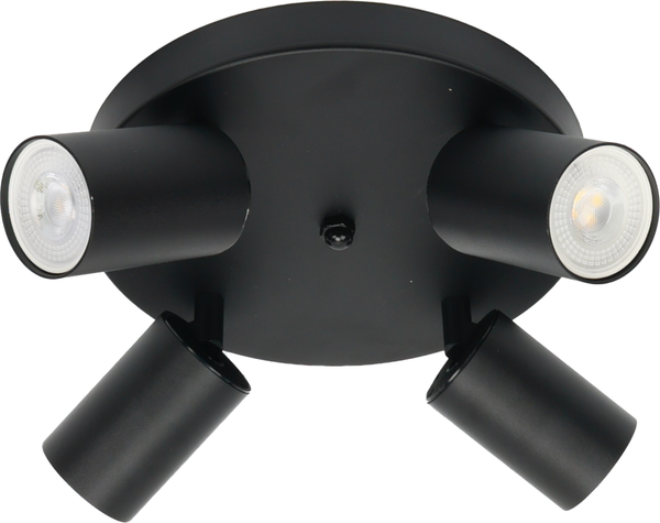 Изображение товара Спот Truenergy 21492