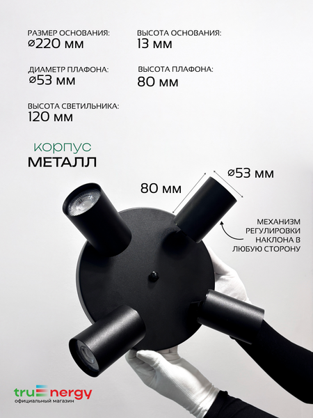 Изображение товара Спот Truenergy 21492