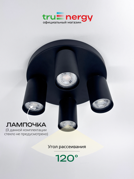 Изображение товара Спот Truenergy 21492