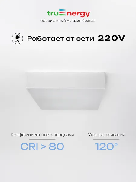 Изображение товара Потолочный светильник Truenergy 11166