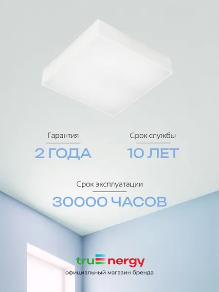Изображение товара Потолочный светильник Truenergy 11166