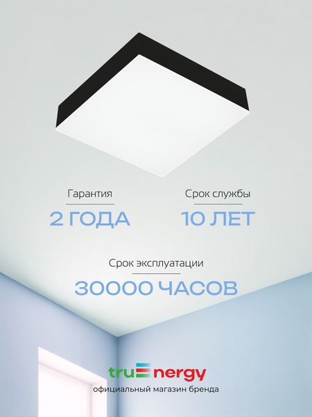 Изображение товара Потолочный светильник Truenergy 11170