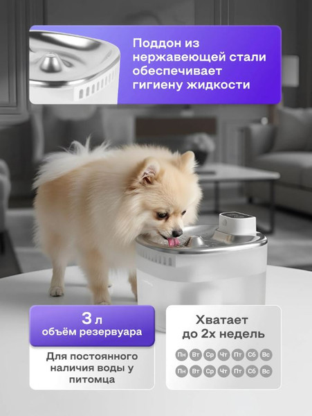 Изображение товара Поилка автоматическая для животных Rombica MyPet Ray PWF-003