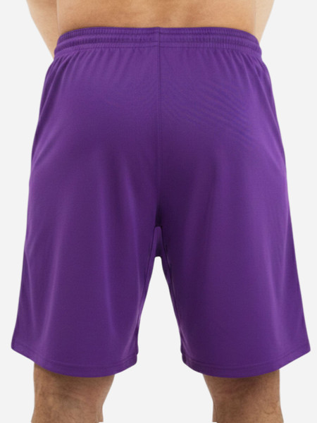 Изображение товара Шорты спортивные FN Bounce / FN4272001-500 (M, фиолетовый)