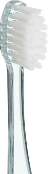 Изображение товара Зубная щетка Revyline S4000 Travel Glass 8233 (зеленый)