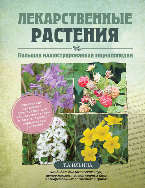 Изображение товара Энциклопедия Эксмо Лекарственные растения (Ильина Т. 9785042346682)