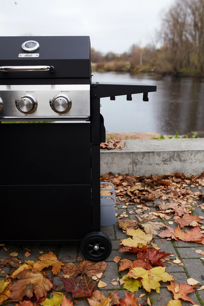 Изображение товара Газовый гриль GALA Flame I GG103