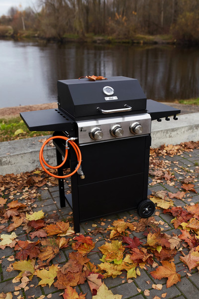 Изображение товара Газовый гриль GALA Flame I GG103