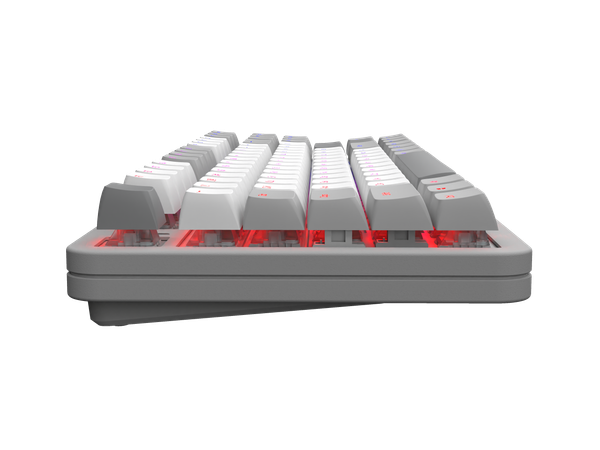 Изображение товара Клавиатура Red Square Alumix TKL Gray Matter g3ms Sapphire RSQ-20048 (серый)