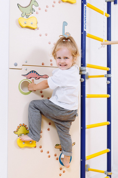 Изображение товара Шведская стенка Romana 01.21.8.12.490.03.06-24 со скалодромом Dop21 6.08.01