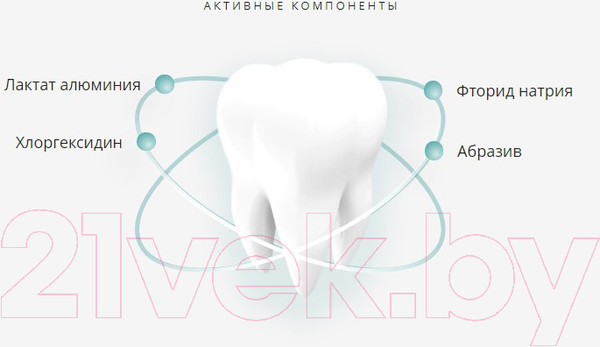 Изображение товара Зубная паста Lacalut Aktiv (100мл)