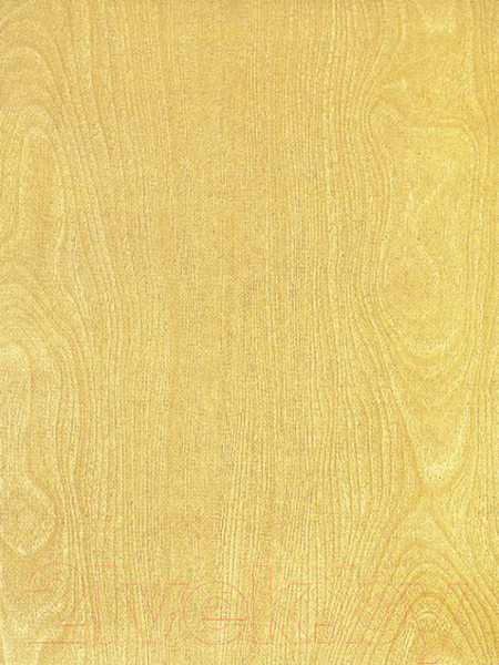 Изображение товара Пленка самоклеящаяся универсальная Color Dekor 8005 (0.45x8м)