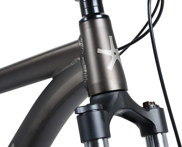 Изображение товара Велосипед Maxiscoo 3BIKE 29 M330 2026 / MSC-M3-2922-20 (бронзовый матовый, разобранный, в коробке)