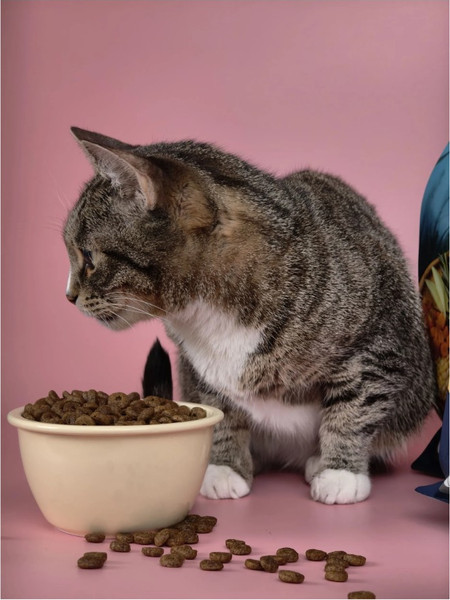 Изображение товара Сухой корм для кошек Ночной охотник Для стерилизованных. Утка с клюквой (10кг)