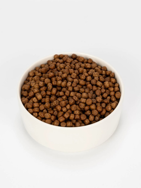 Изображение товара Сухой корм для кошек Ночной охотник Для котят и беременных. Индейка с ягненком и черникой (1.5кг)