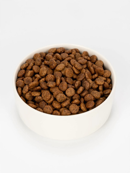 Изображение товара Сухой корм для кошек Ночной охотник С чувствительным пищеварением. Индейка (10кг)