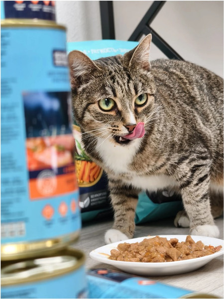 Изображение товара Сухой корм для кошек Ночной охотник Для стерилизованных. Индейка с клюквой (400г)