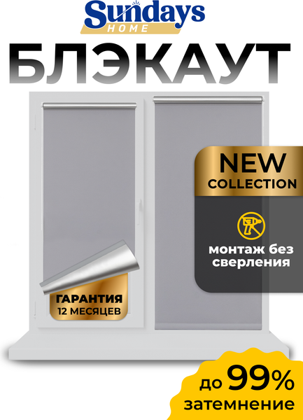 Рулонная штора Sundays Home  LM 168-07 64x160 (серый)