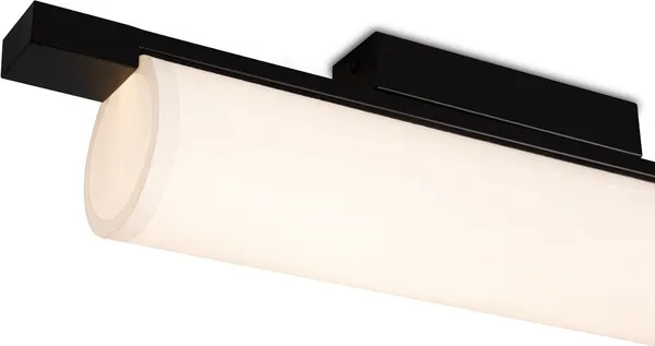 Изображение товара Потолочный светильник Freya Even FR5625CL-L20B