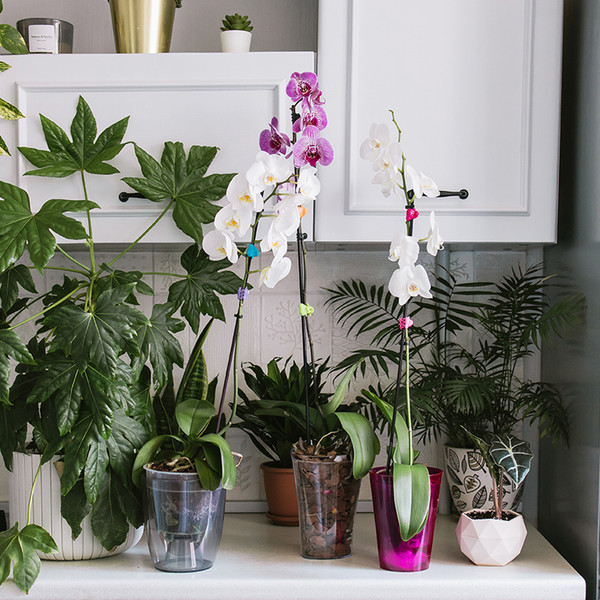 Изображение товара Кашпо Sima-Land 10624181