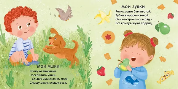 Изображение товара Развивающая книга Робинс Книжка-картонка. Мое тело с зеркалом (9785436610269)