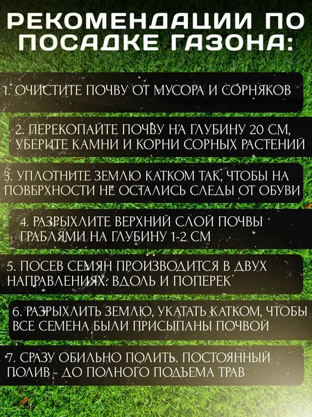 Изображение товара Семена газонной травы Мираторг Низкорослый газон (5кг)