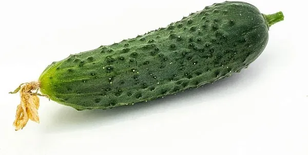 Изображение товара Семена Агрофирма Партнер Огурец Меренга F1 (5шт)