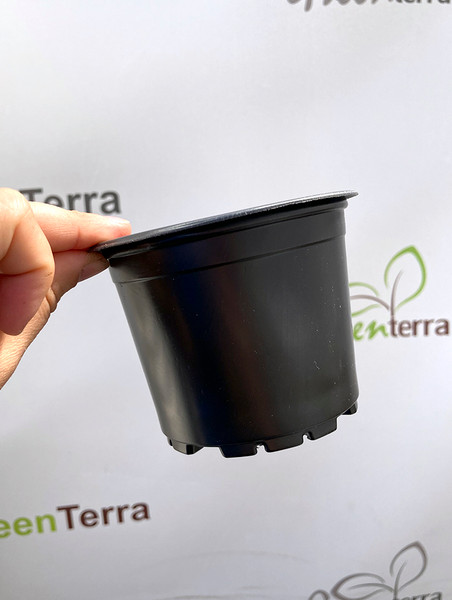 Изображение товара Набор горшков для рассады GreenTerra Формованный d10.5см h85мм (500мл, 100шт)