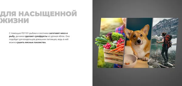 Изображение товара Сушилка для овощей и фруктов Redmond FD1101 (белый)